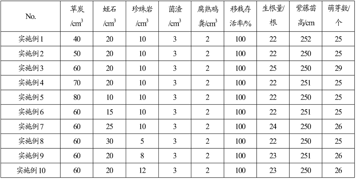 Method for transplanting Chinese wistaria seedlings