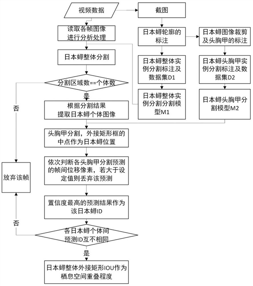 A Video Analysis Method of Group Behavior of Japanese Catfish Based on Instance Segmentation