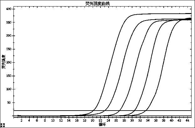 Nucleic acid detection reagent kit for novel coronavirus 2019-nCoV