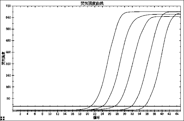 Nucleic acid detection reagent kit for novel coronavirus 2019-nCoV