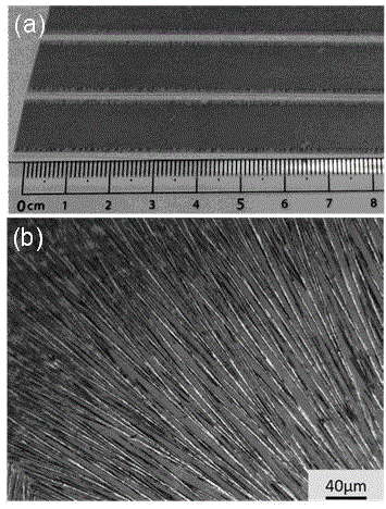Preparation method of large-area perovskite micro-nano wire array and application thereof