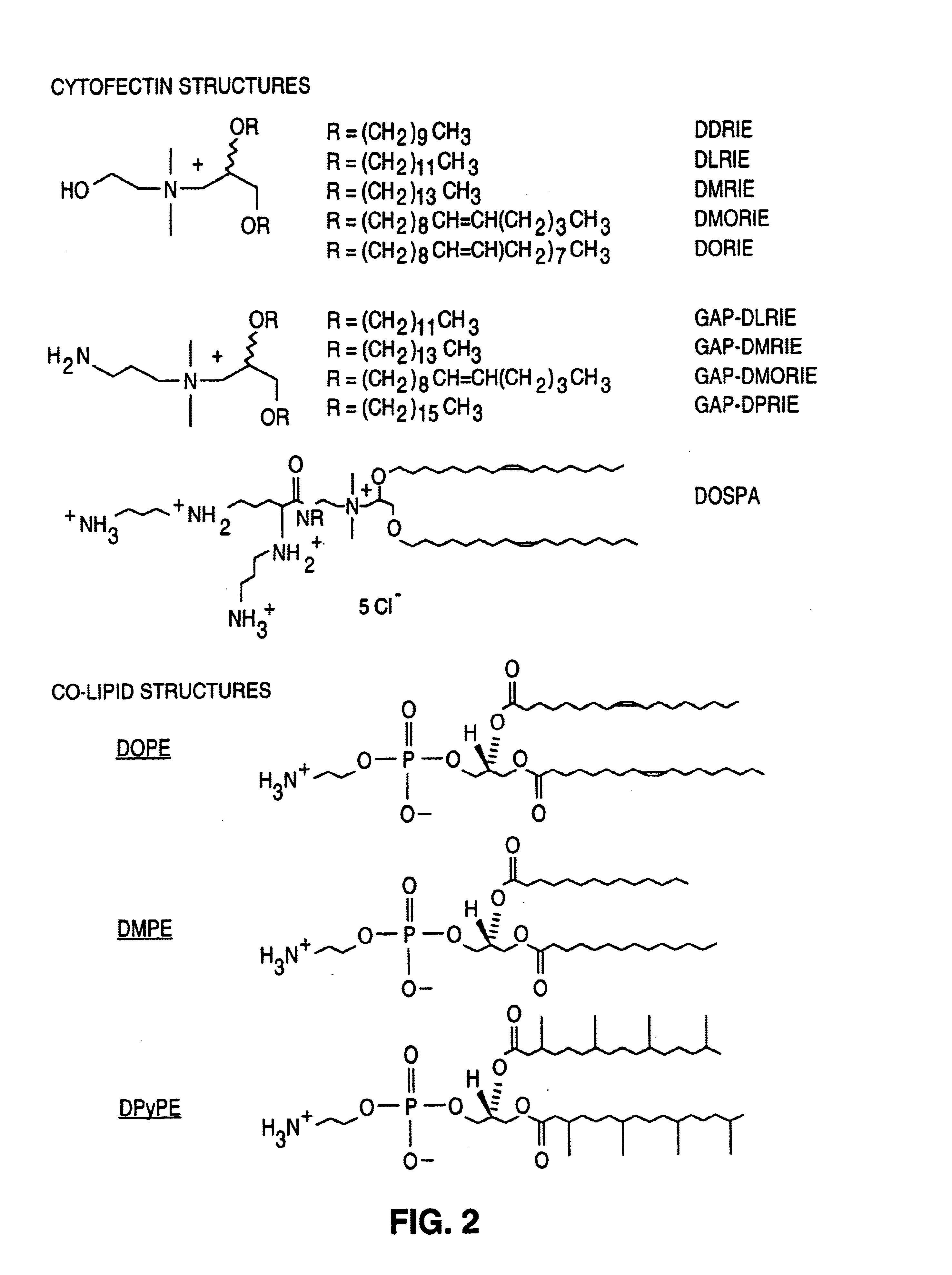 Adjuvant compositions and methods for enhancing immune responses to polynucleotide-based vaccines