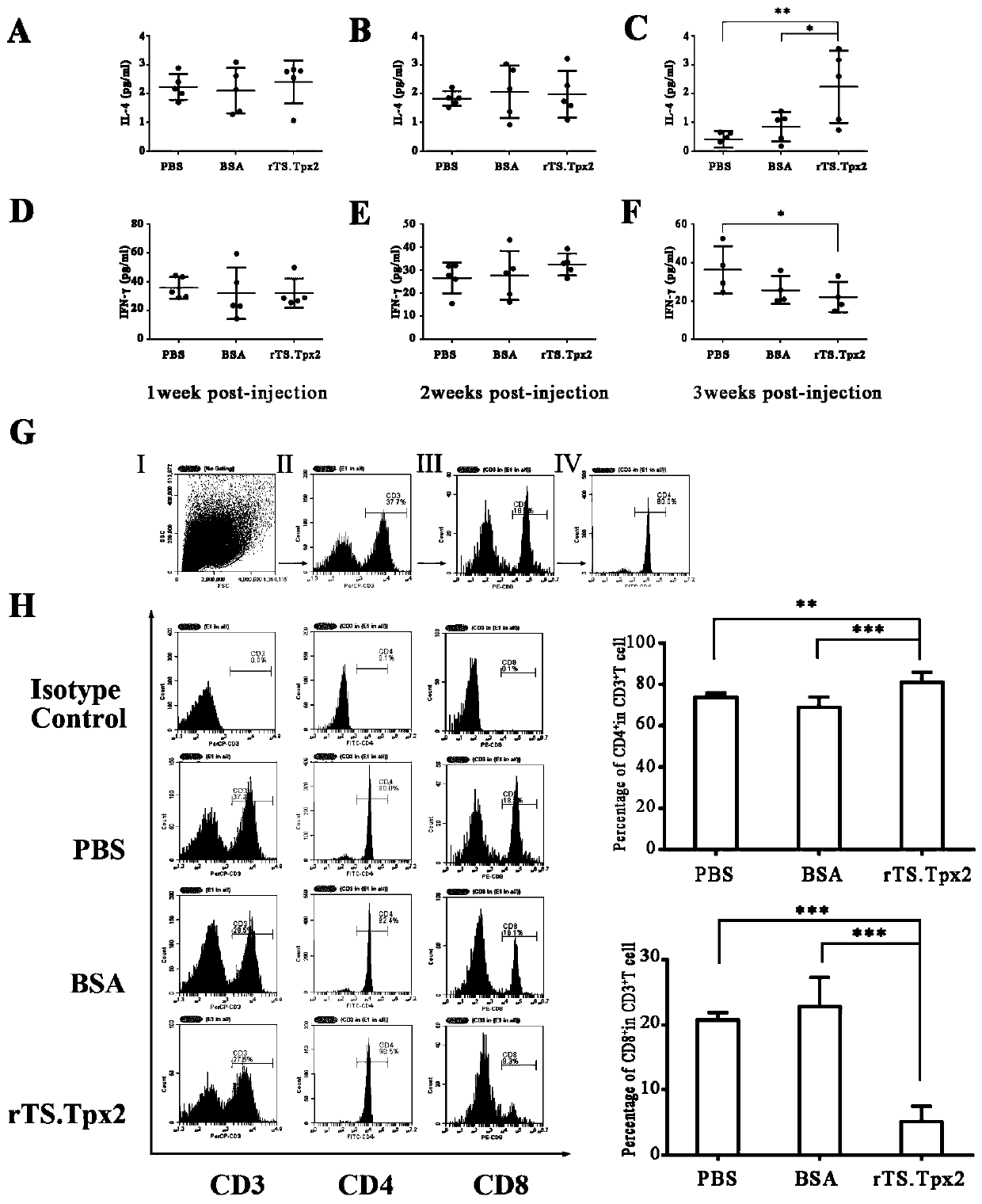Application of recombinant trichina thioredoxin peroxidase 2 in preparation of anti-trichina infection vaccine