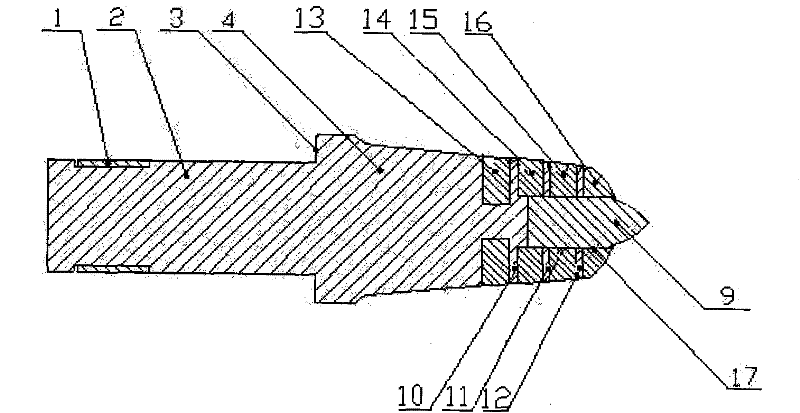 Pick having bimetal structure and preparation method thereof