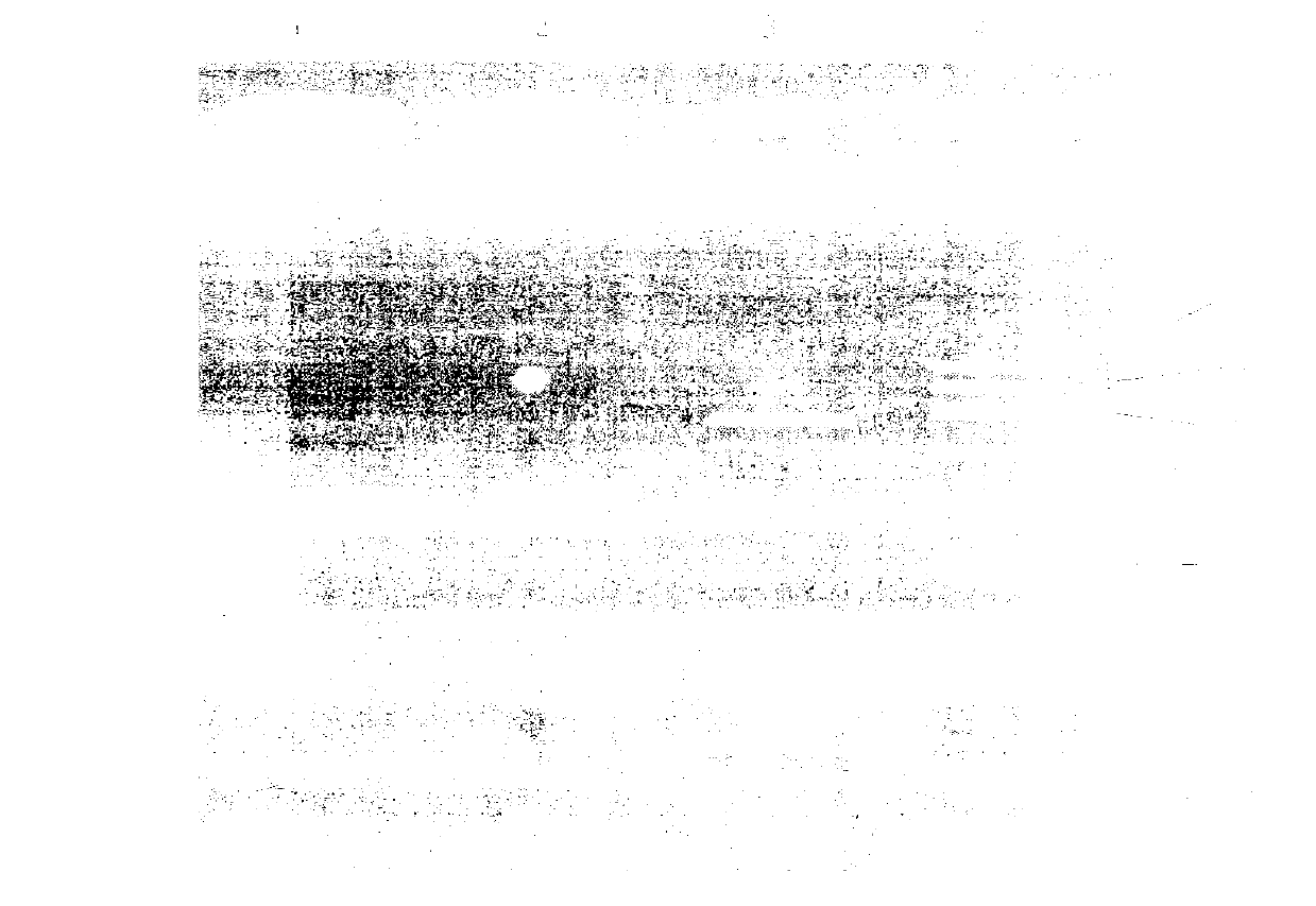 Plasmid type adenovirus vector pAd-NRIP1 and construction method thereof