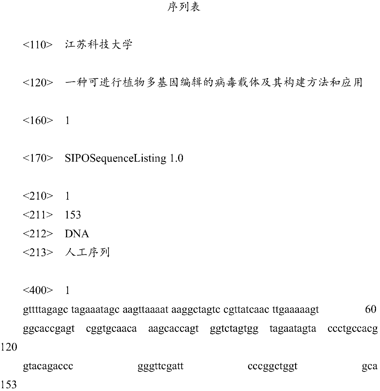 Virus vector capable of realizing polygene editing of plants as well as construction method and application of virus vector