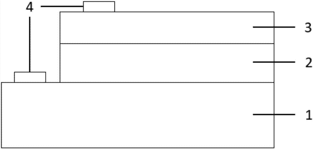 Antimony selenide thin film solar cell and preparation method thereof