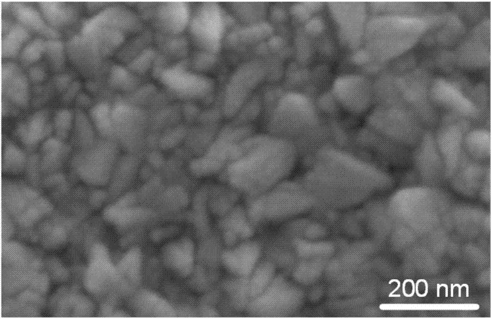Antimony selenide thin film solar cell and preparation method thereof