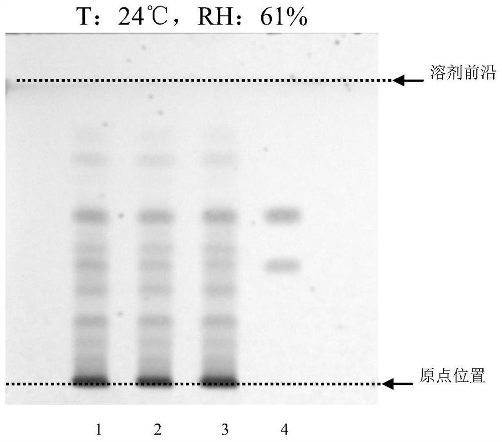 Method for identifying ginger in Jiangzhuru traditional Chinese medicine formula granules