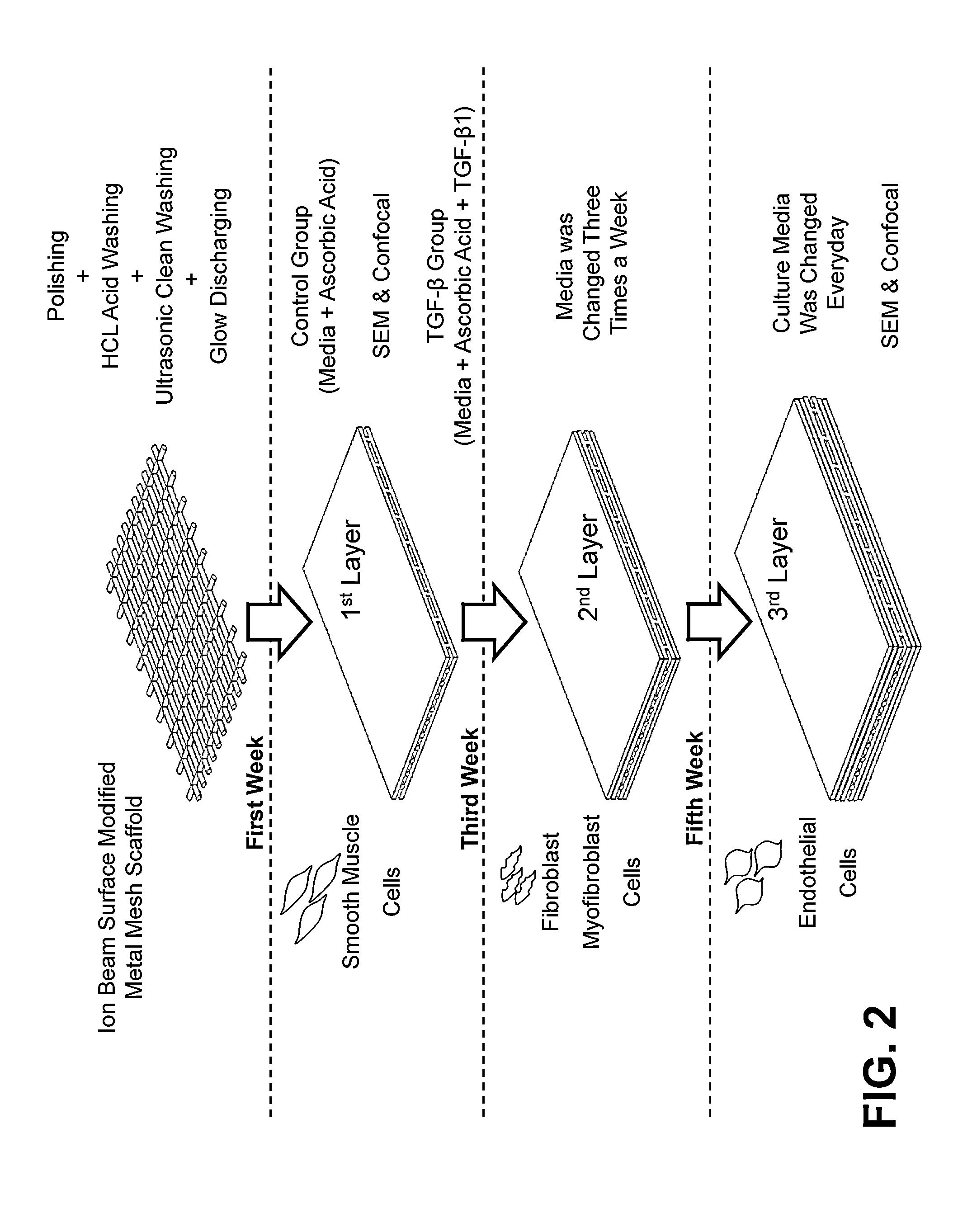 Mesh enclosed tissue constructs