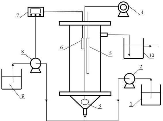 Method for treating sewage by enrichment culture of anaerobic ammonium oxidation bacteria