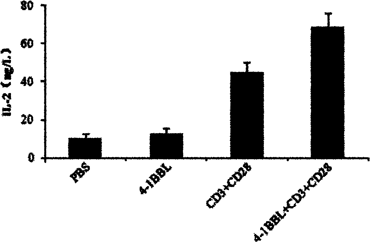 Preparation method of protein 4-1BBL