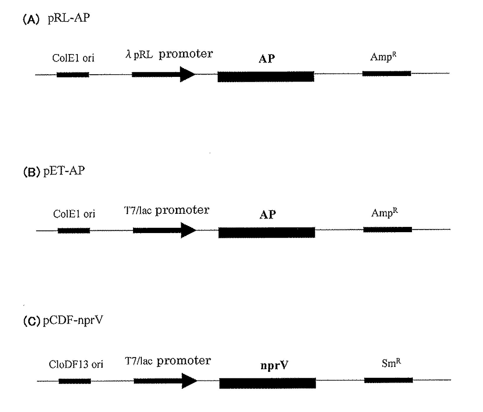 Method for producing aminopeptidase