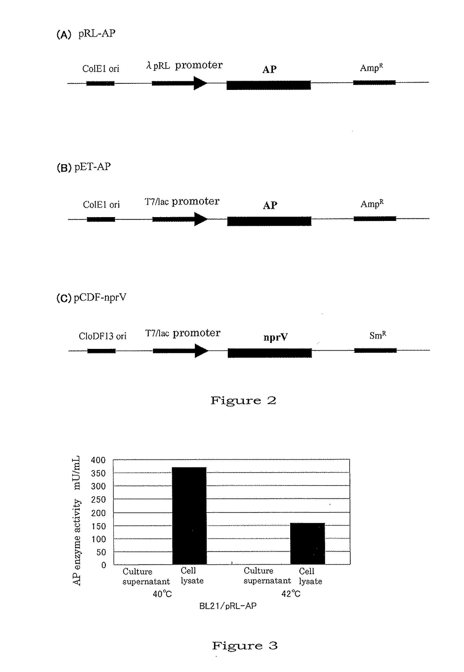 Method for producing aminopeptidase