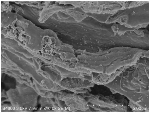 Molybdenum disulfide nanosheet/porous graphitized biochar composite material and its preparation method and application
