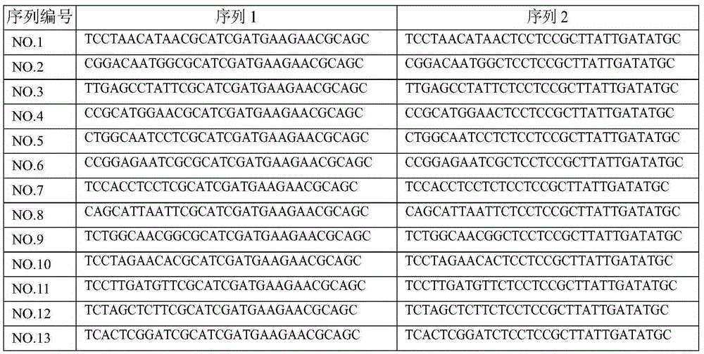 Composite tag for high-throughput sequencing of biological diversity of brewing fungi and application of composite tag