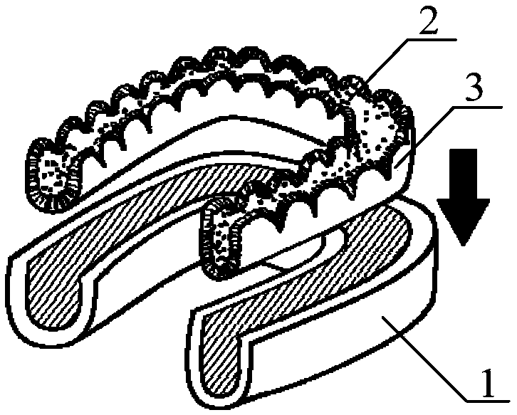 Tooth brushing device, oral remote prevention, diagnosis and nursing device and method, and applications thereof