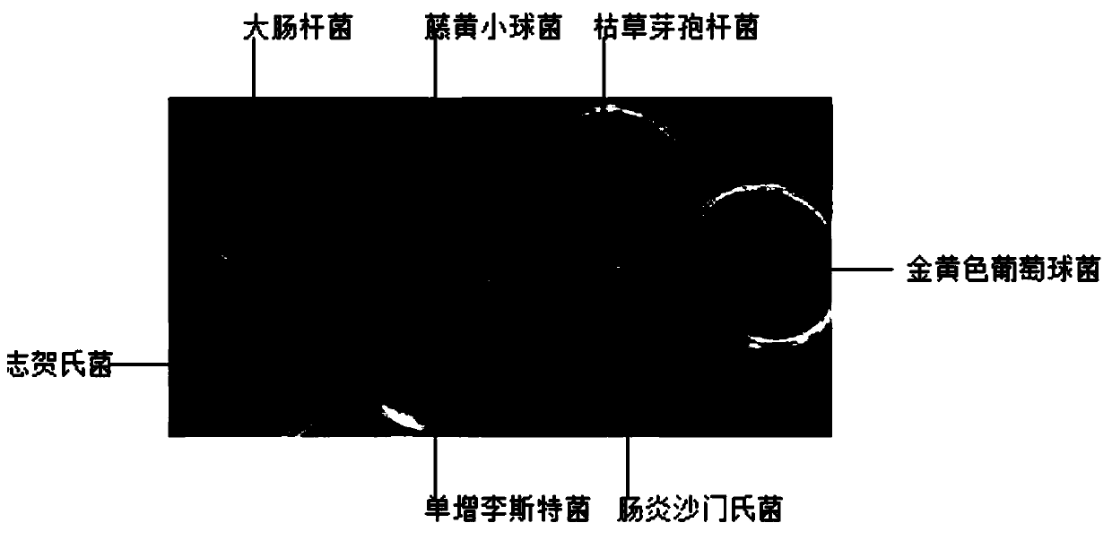 A bacteriostatic Paenibacillus fermentation broth extract