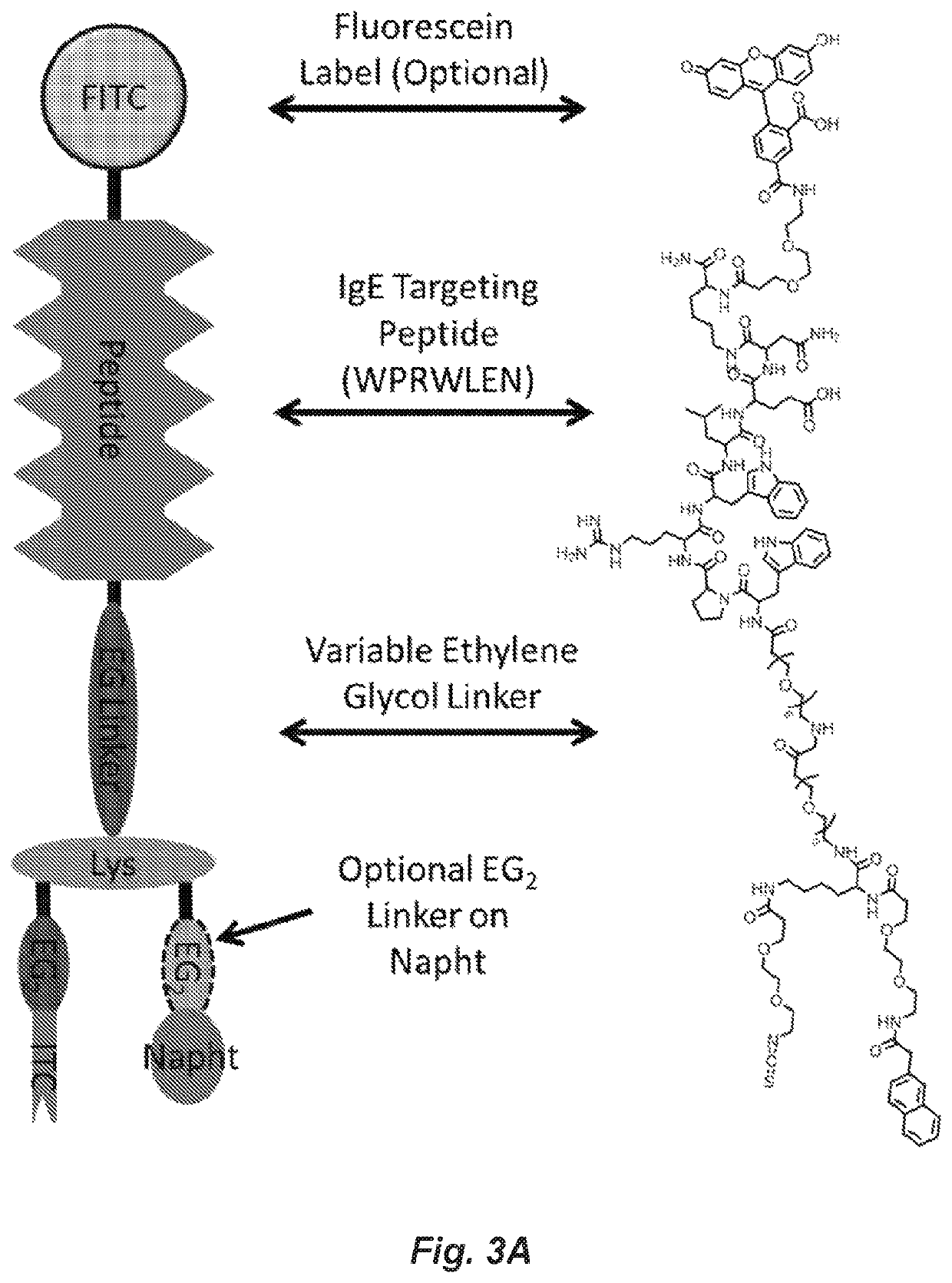 Covalent heterobivalent antibody inhibitors and ligands