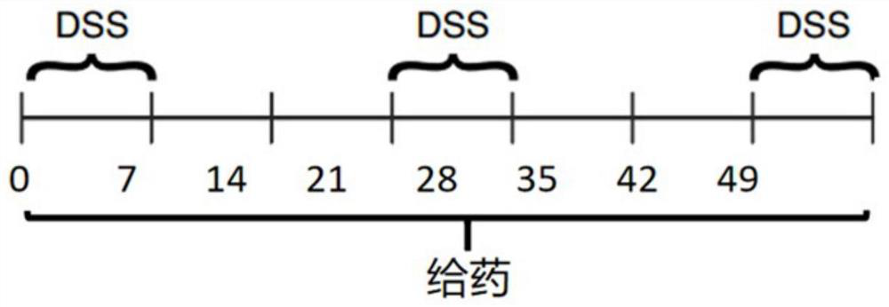 Traditional Chinese medicine composition for treating ulcerative colitis and preparation method of traditional Chinese medicine composition