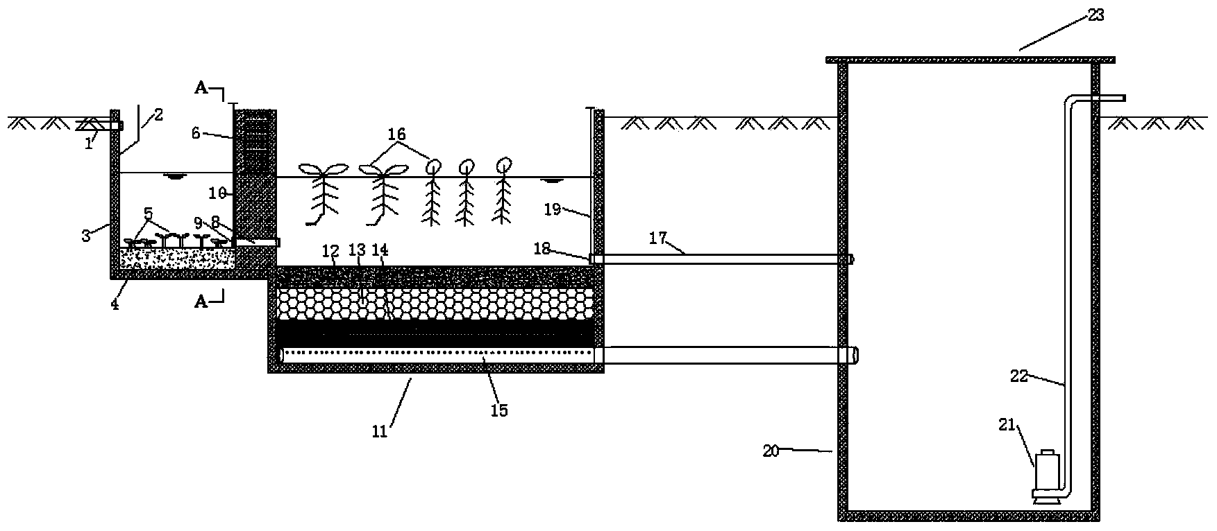 Rural domestic sewage treatment and recycling device