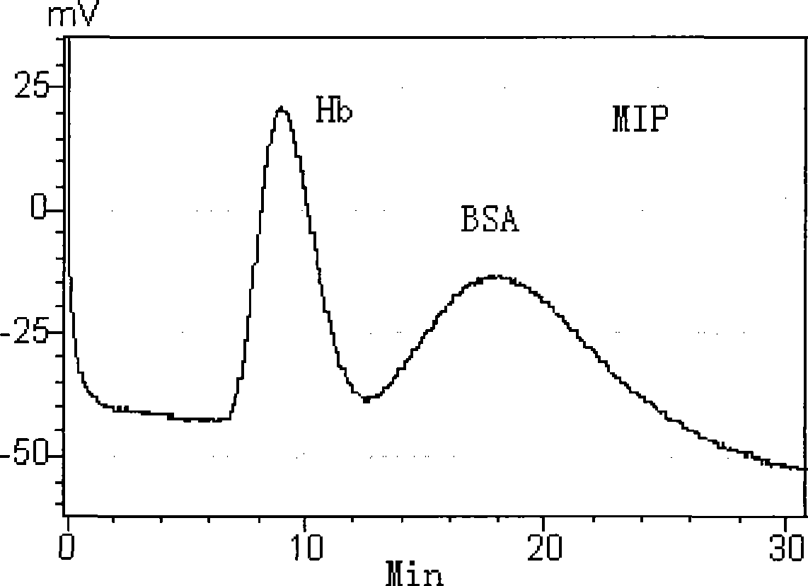 Production method for protein molecule imprinting integral column