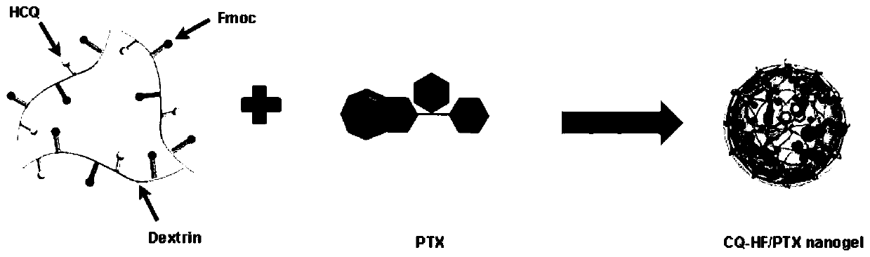 Polymerized chloroquine fluorenylmethyl nanogel delivery system and preparation method thereof