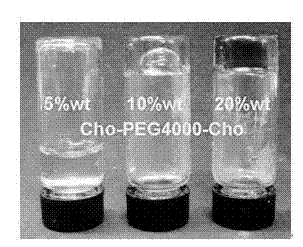 Novel physical hydrogel and usage thereof