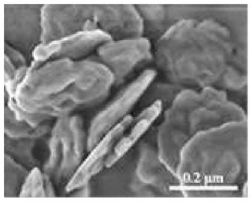 Synthesis method of multi-stage pore structure zeolite nanosheet