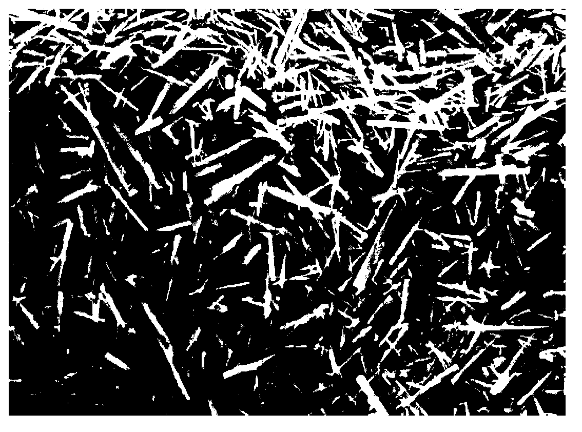 Magnesium oxide whisker/biodegradable polyester composite material and its preparation method and application thereof