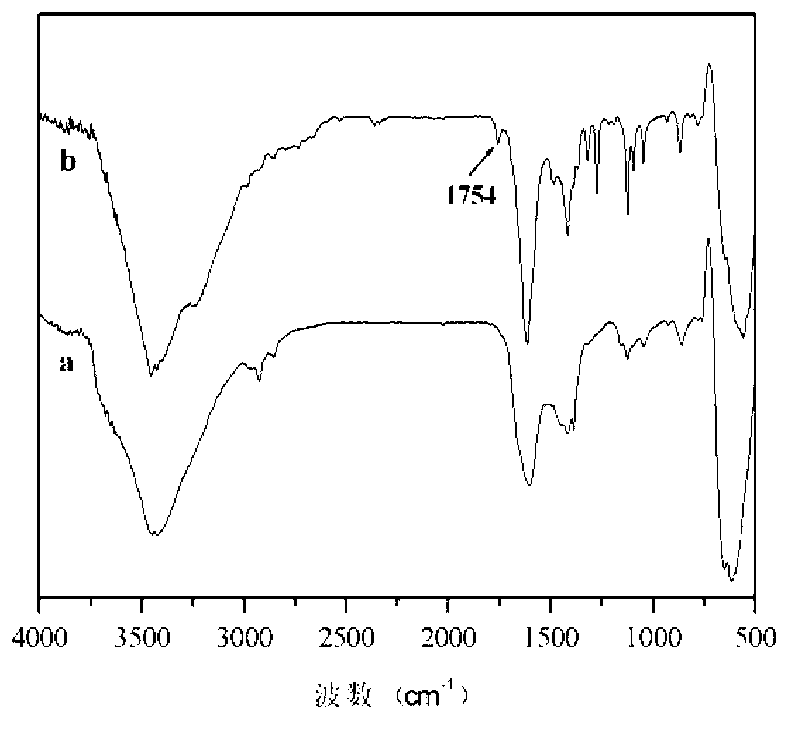 Magnesium oxide whisker/biodegradable polyester composite material and its preparation method and application thereof