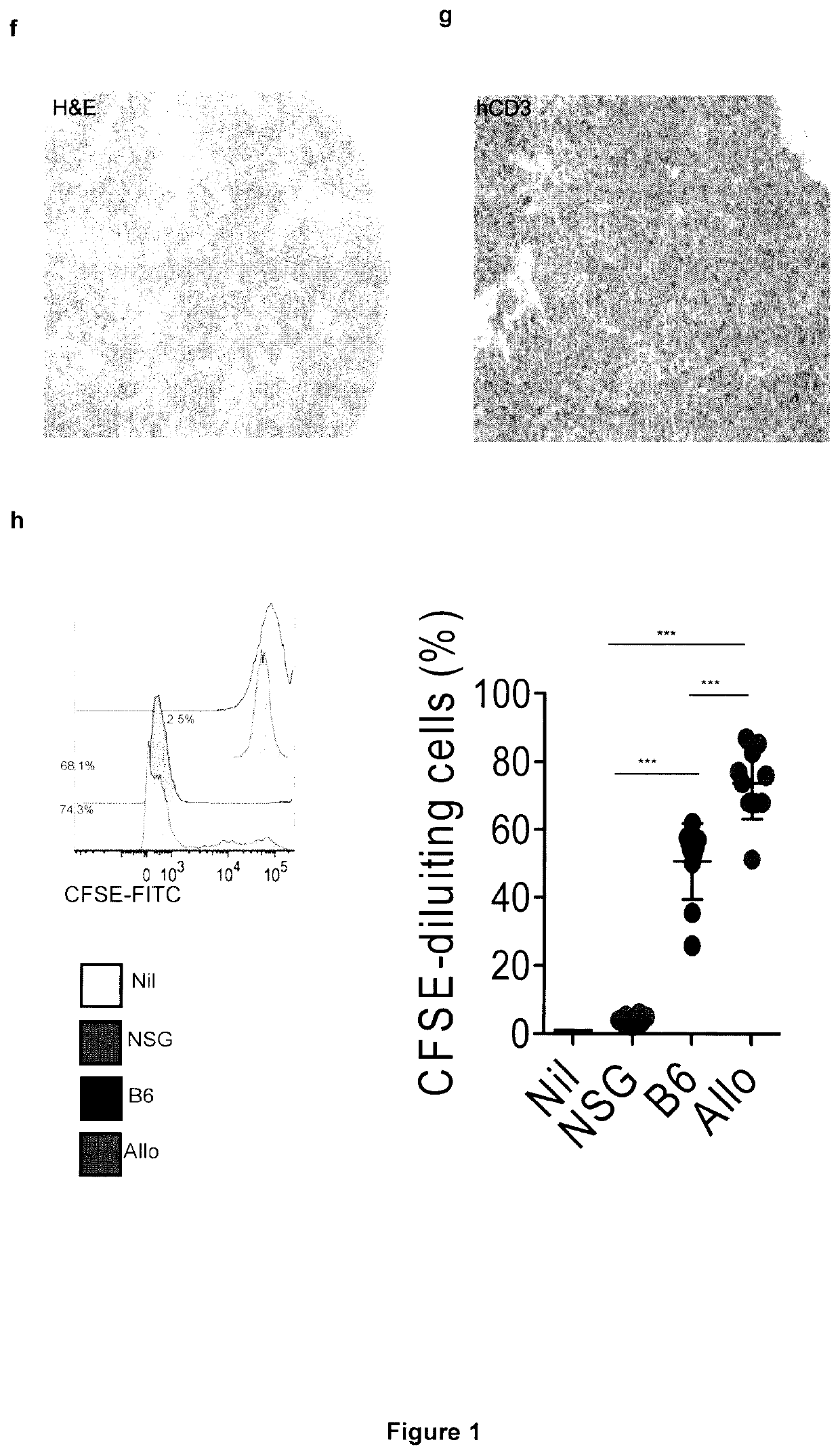 Il-1 antagonist and toxicity induced by cell therapy