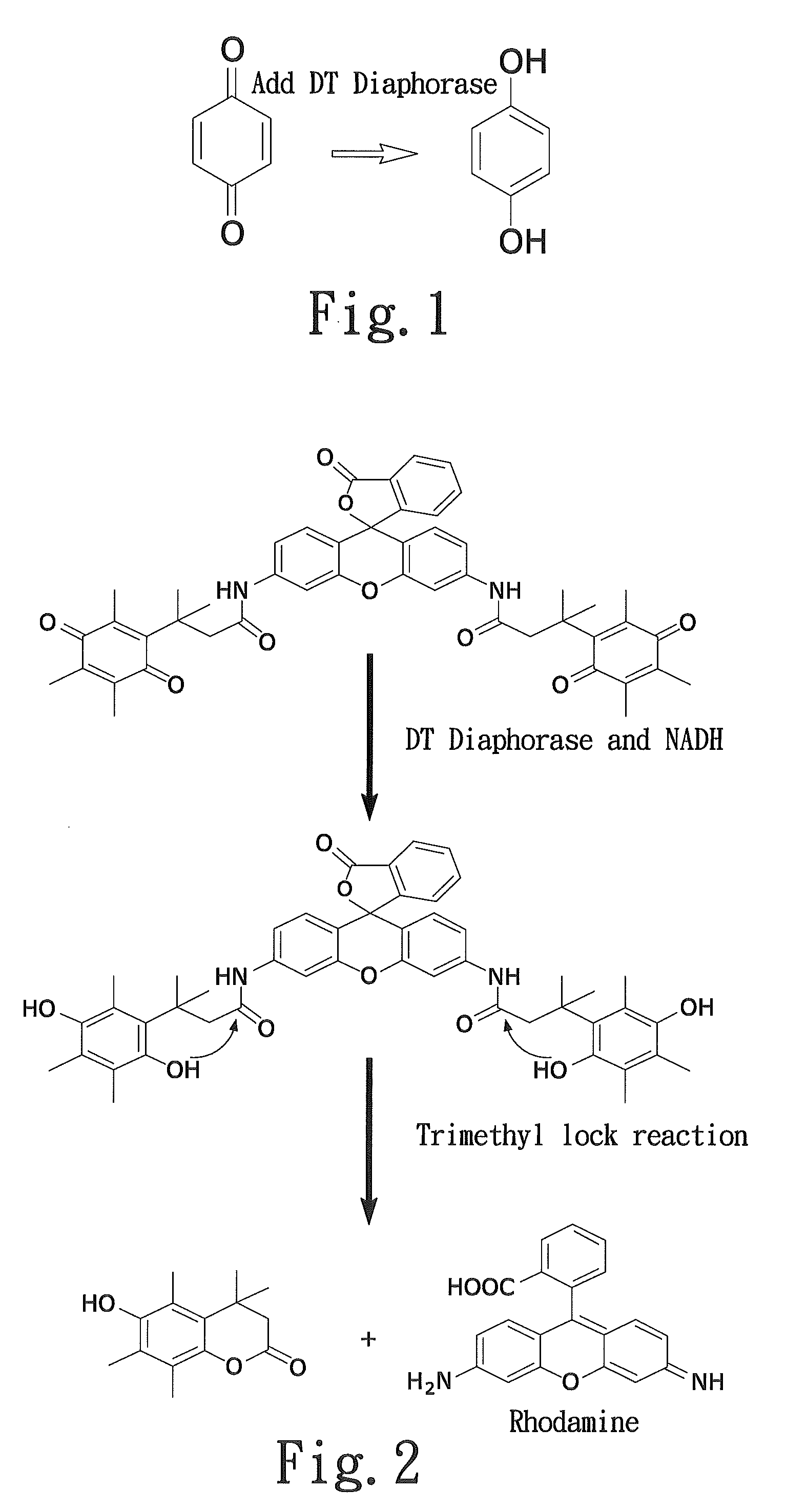 Latent fluorimetric indicator for biological analytes determination and the preparation method thereof