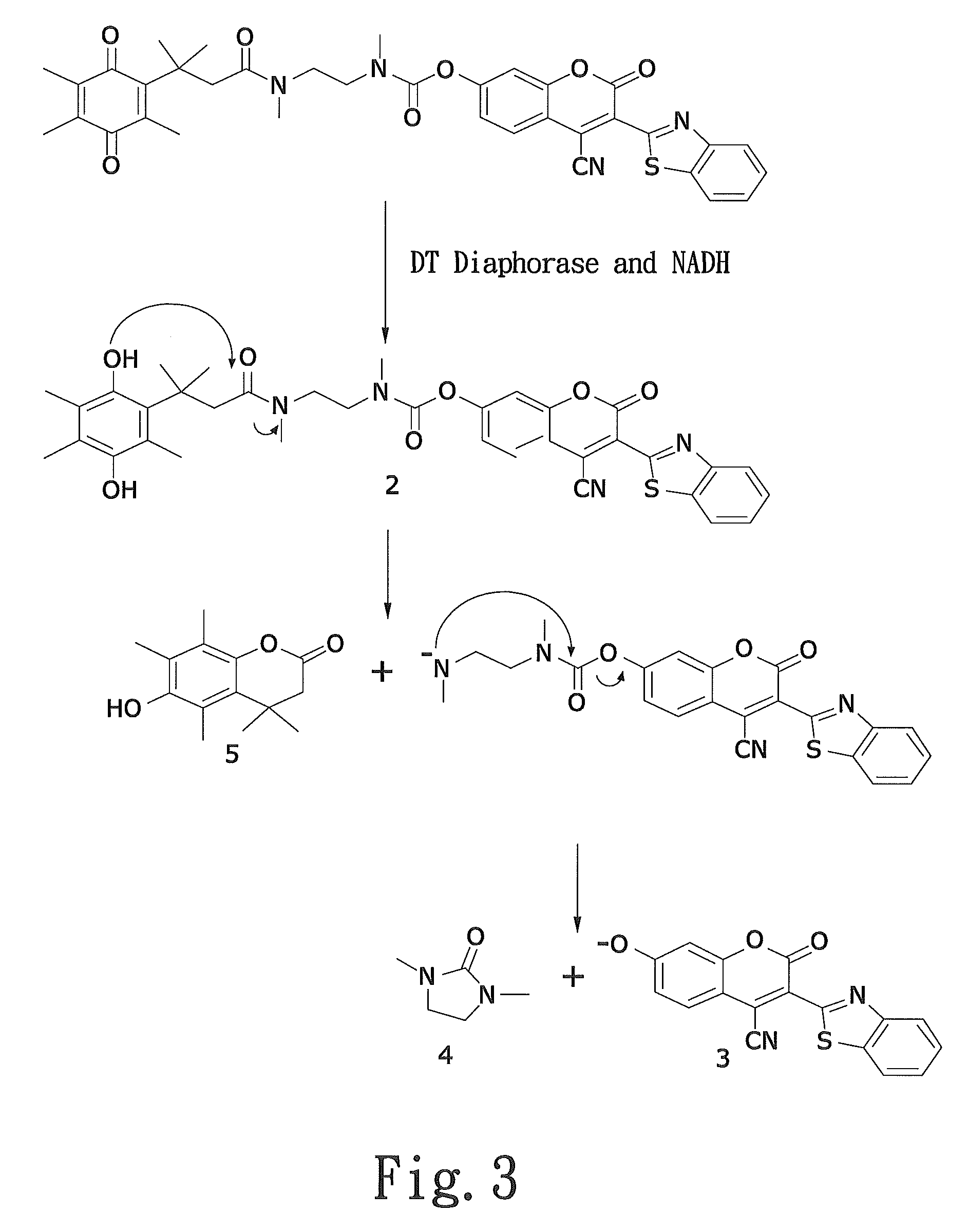 Latent fluorimetric indicator for biological analytes determination and the preparation method thereof