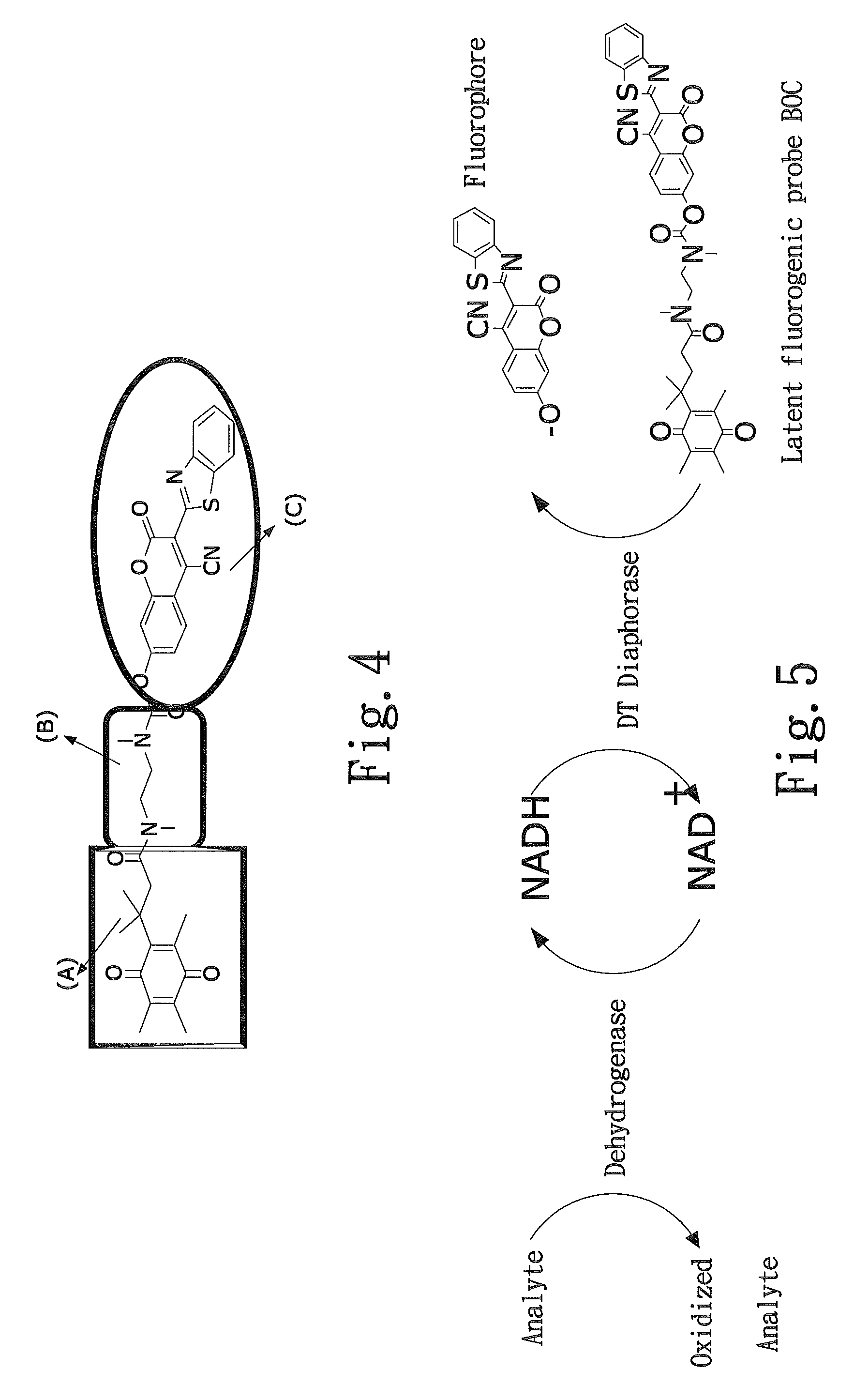 Latent fluorimetric indicator for biological analytes determination and the preparation method thereof