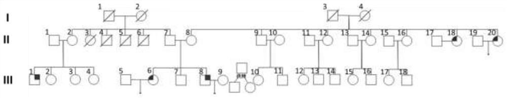 A pathogenic mutation of hereditary gametogenesis disorder and its detection reagent