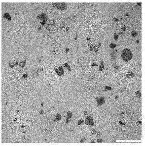 Preparation method of silicon carbide-based composite material mechanical sealing sliding part