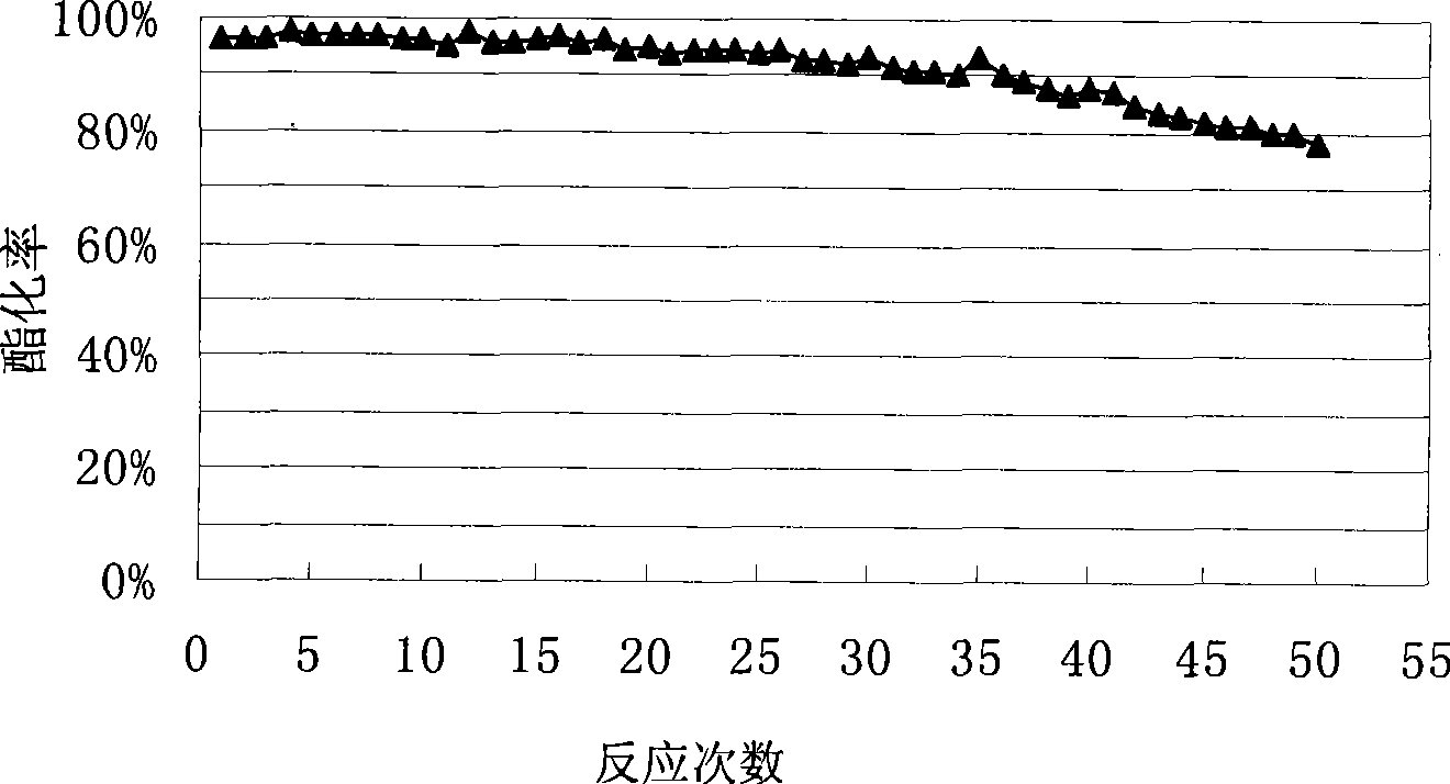 Immobilized lipase and preparation method thereof