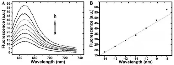 Method for detecting ERGIC3 mRNA based on DNA molecules