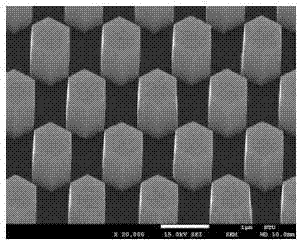 Method for preparing zinc oxide nanopillar array