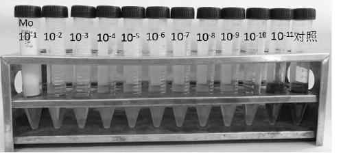 A kind of low-serum high-efficiency culture medium of ovine mycoplasma pneumoniae and preparation method thereof