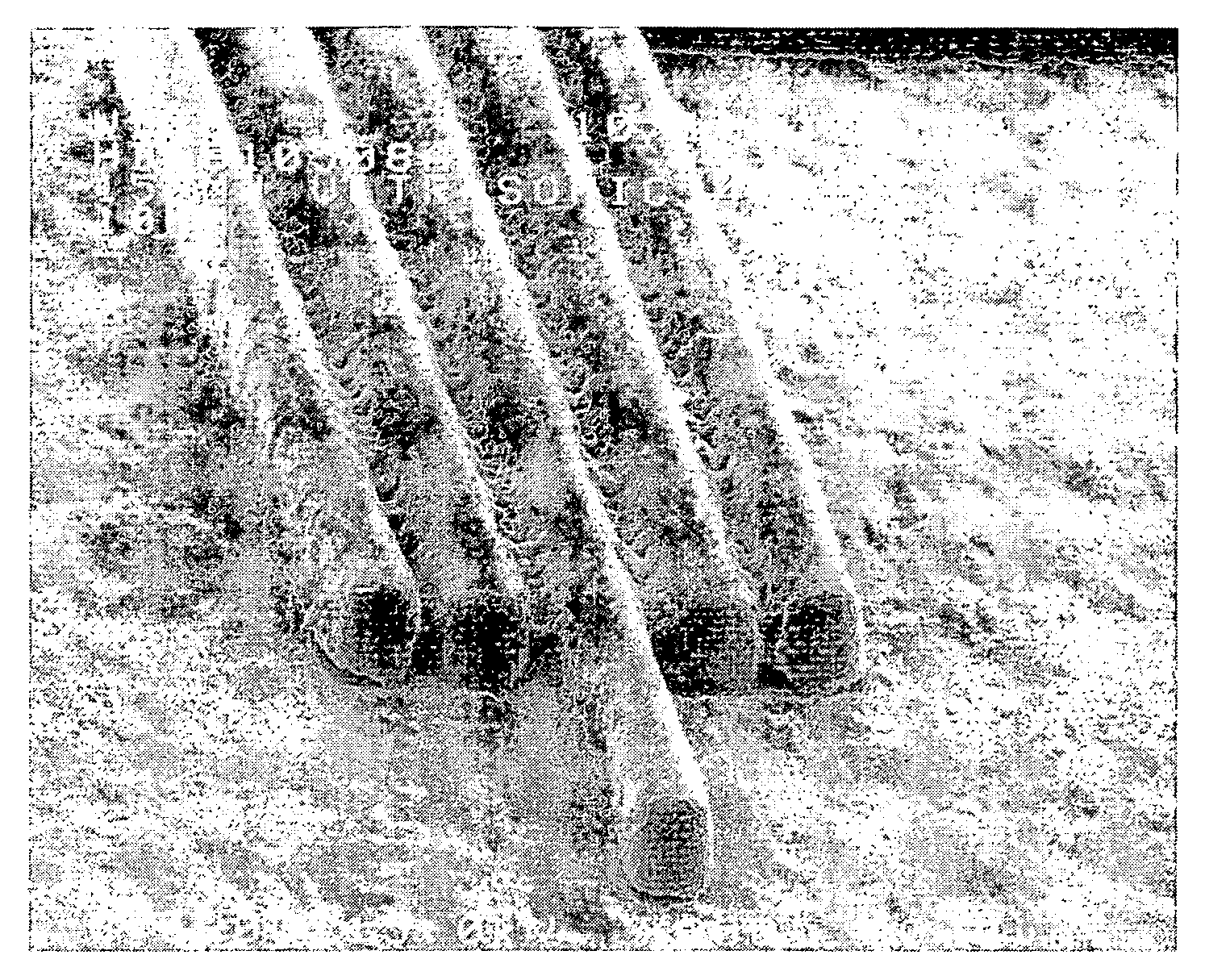 Photoresist composition and method pattern forming using the same