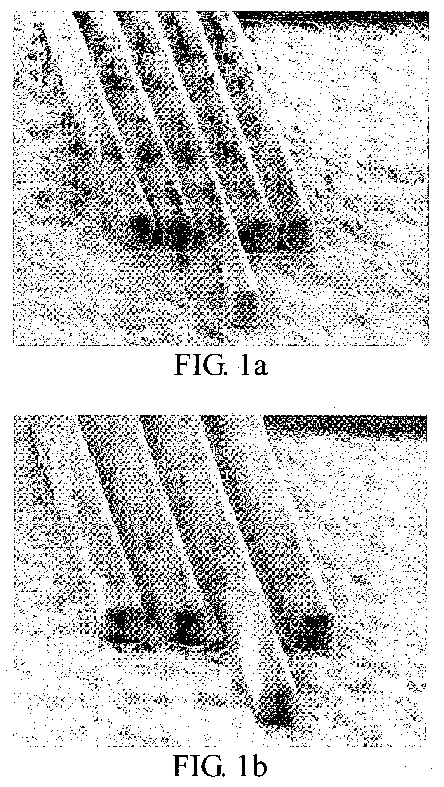 Photoresist composition and method pattern forming using the same