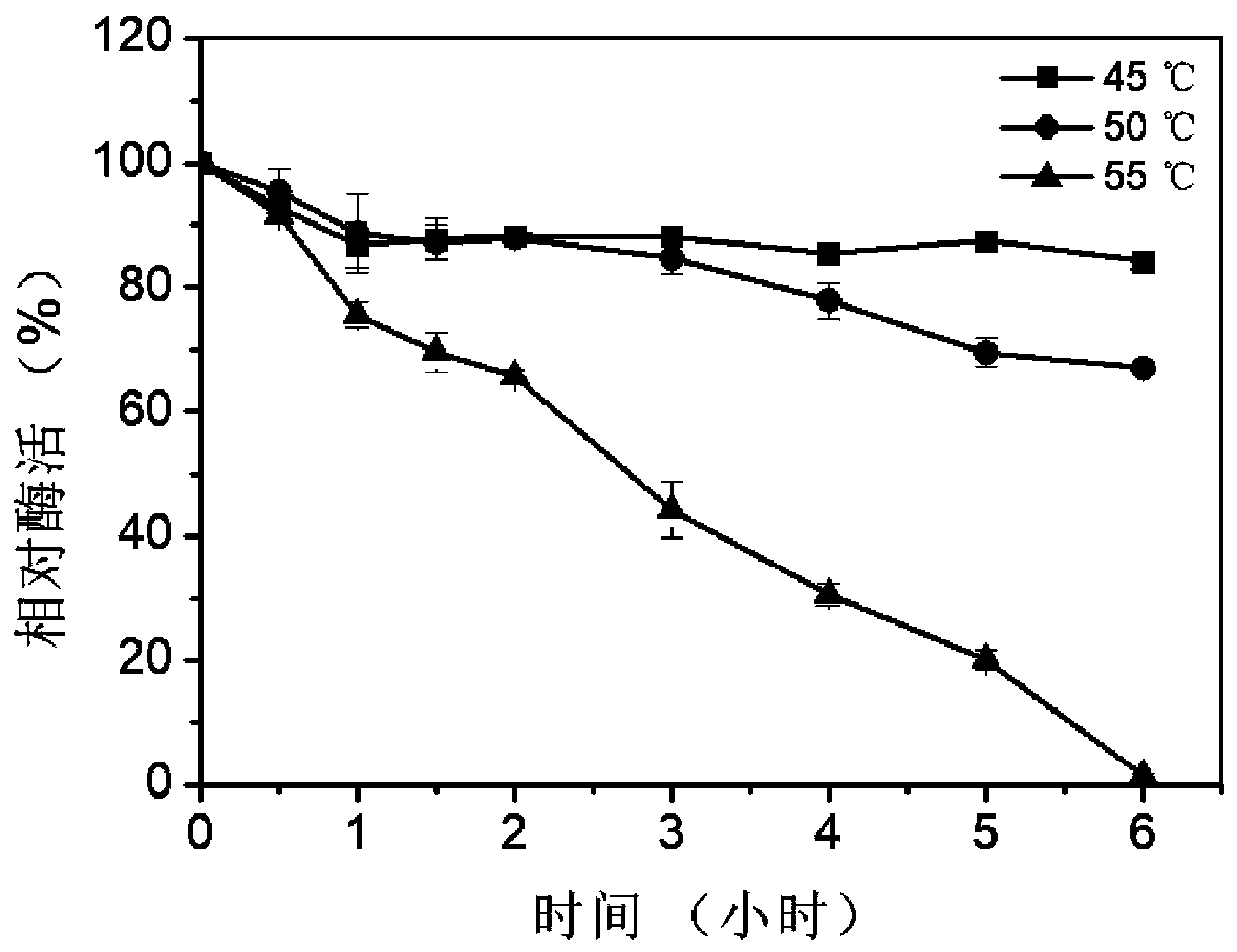 Ferulic acid esterase EpFAE1 and coding gene and application thereof