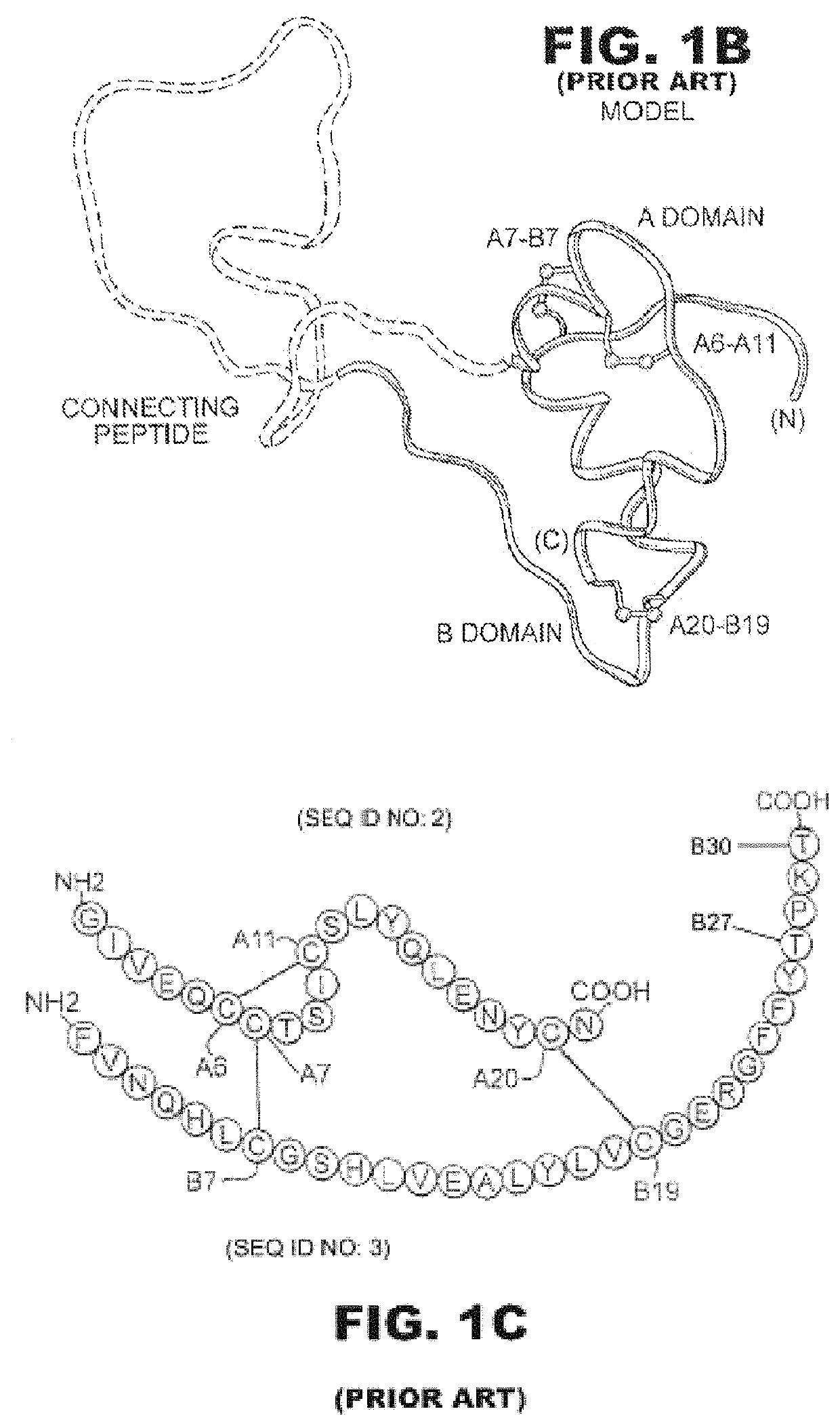 Insulin analogues with a glucose-regulated conformational switch