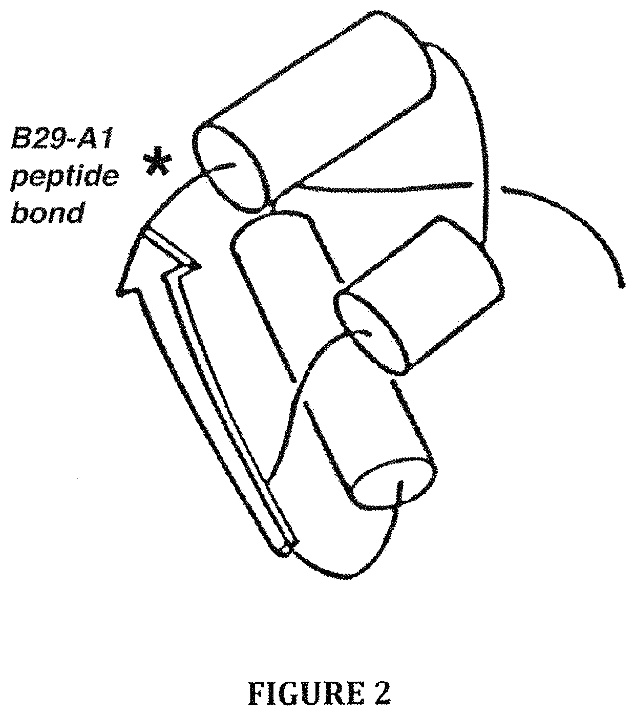 Insulin analogues with a glucose-regulated conformational switch