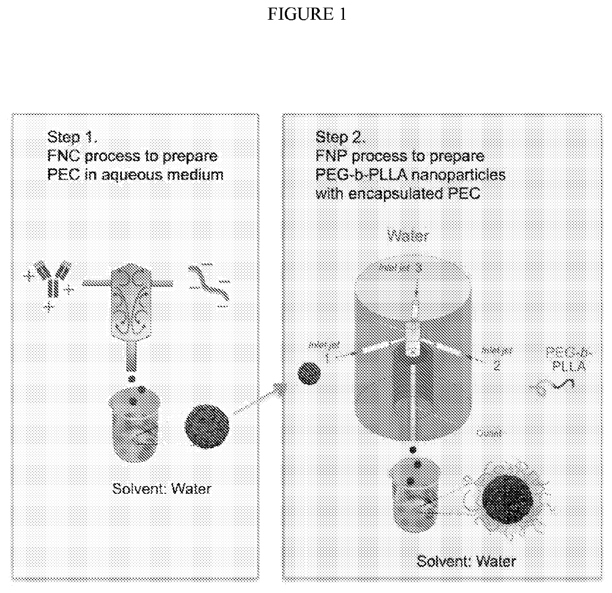 Polymeric nanoparticle compositions for encapsulation and sustained release of protein therapeutics