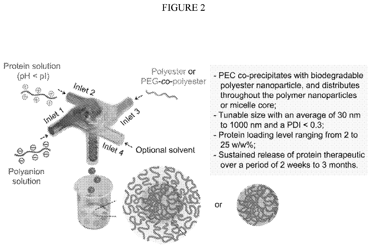 Polymeric nanoparticle compositions for encapsulation and sustained release of protein therapeutics