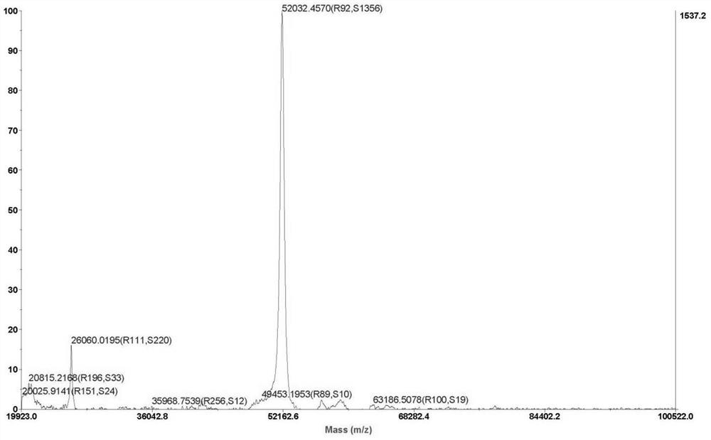 A kind of spidroin-like protein and its biosynthesis method