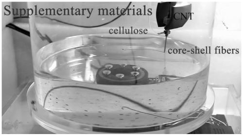 Carbon nanotube fiber composite material, its preparation method and application